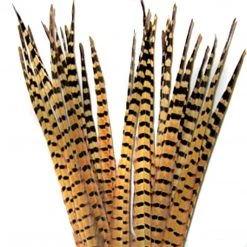 Wapsi RINGNECK TAIL FEATHERS - 1 PAIR