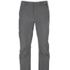Simms Bugstopper Pant Pants