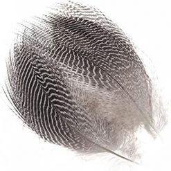 Wapsi TEAL BARRED FLANK