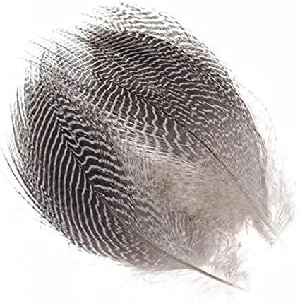 Wapsi TEAL BARRED FLANK 3 Wapsi TEAL BARRED FLANK