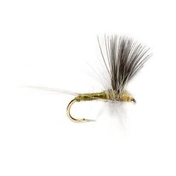 Fulling Mill Blue Winged Olive Thorax Flies