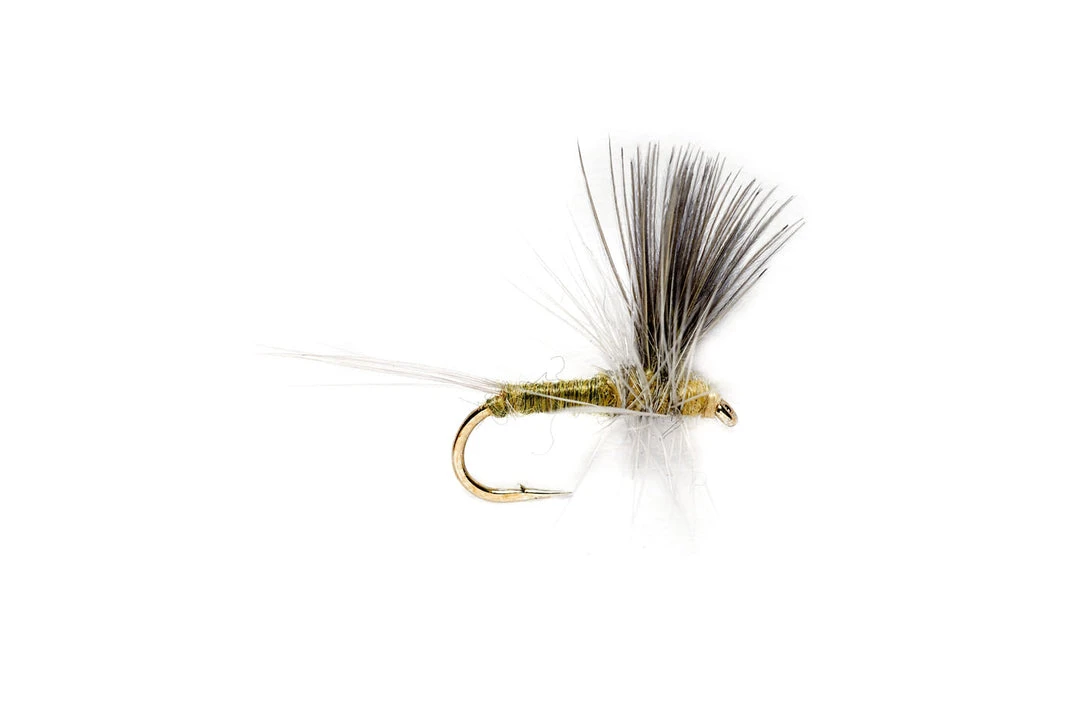 Fulling Mill Blue Winged Olive Thorax Flies 3 Fulling Mill Blue Winged Olive Thorax Flies