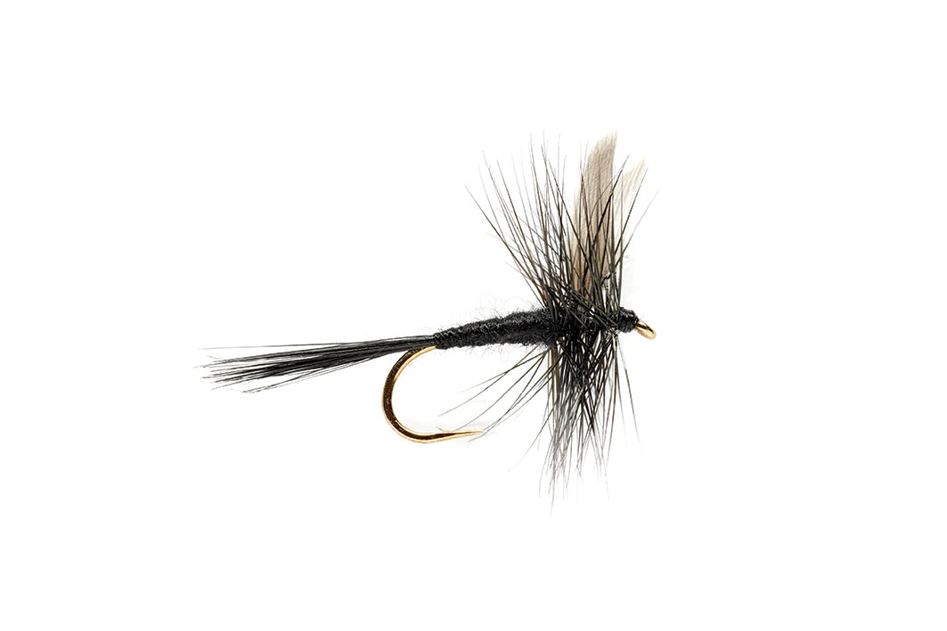 Fulling Mill Black Gnat 3 Fulling Mill Black Gnat