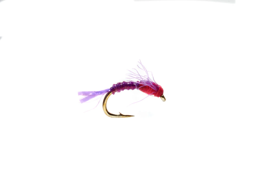 Fulling Mill Boroffs Hot Belly Baetis Purple Flies 3 Fulling Mill Boroffs Hot Belly Baetis Purple Flies
