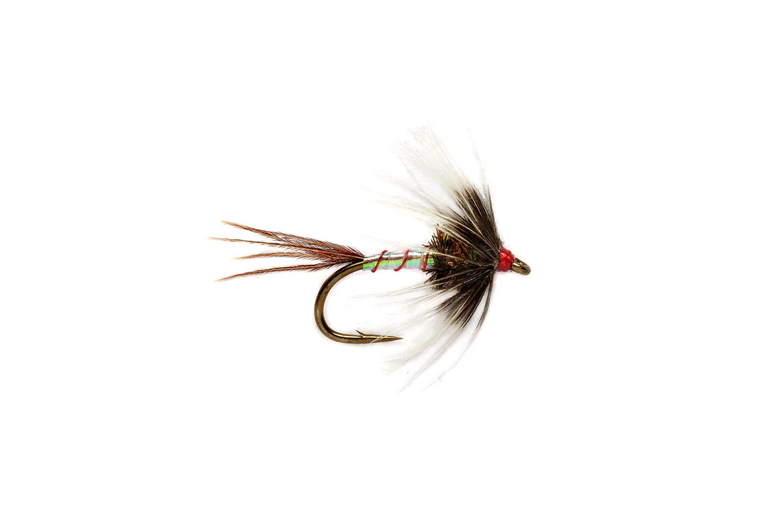 Fulling Mill Flies DW Catchall Spider 3 Fulling Mill Flies DW Catchall Spider