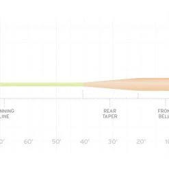 Fly Lines SCIENTIFIC ANGLERS AMPLITUDE SMOOTH - GRAND SLAM TAPER