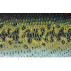 Gifts DeYoung Print - Bass Flank