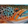 Gifts DeYoung Print - Brown Pheasant Tail 2 Gifts DeYoung Print - Brown Pheasant Tail