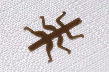 Lively Legz - 15 Legz Per Pack 4 Lively Legz - 15 Legz Per Pack