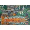 DeYoung Print - Brown Trout Waterfall Gifts 2 DeYoung Print - Brown Trout Waterfall Gifts