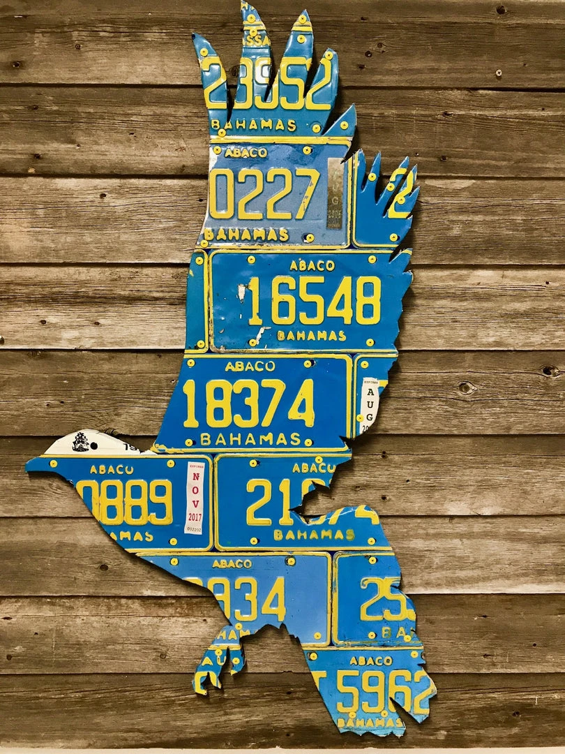 Cody Richardson Art - Bahamas White Crown Pigeon License Plate Art Gifts 3 Cody Richardson Art - Bahamas White Crown Pigeon License Plate Art Gifts