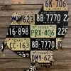 Cody Richardson Art - Texas Turkey License Plate Art Gifts 1 Cody Richardson Art - Texas Turkey License Plate Art Gifts