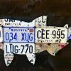 Cody Richardson Art - Bolivia Golden Dorado License Plate Art Gifts