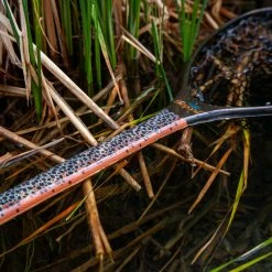 Nets Fishpond Nomad Mid Length Net - Slab Brown Trout 16 Nets Fishpond Nomad Mid Length Net - Slab Brown Trout