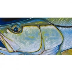 DeYoung Print - Snook