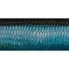 DeYoung Print - Abstract Tarpon Flank - Keys Gifts