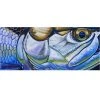 Gifts DeYoung Print - Tarpon Face - Blue