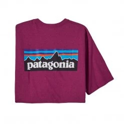 Patagonia Mens P-6 Logo Responsibili-Tee