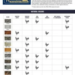 Materials Whiting American Rooster Saddle