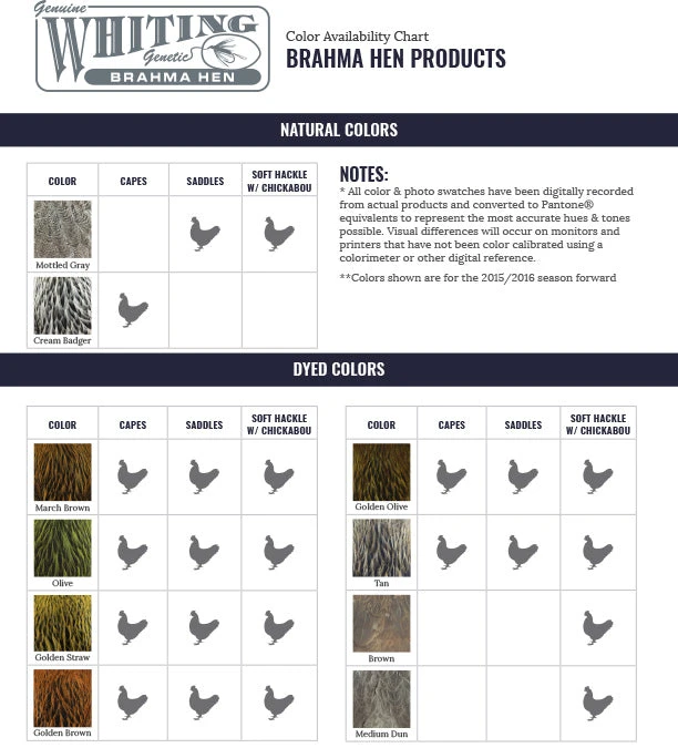 Whiting Brahma Hen Cape 4 Whiting Brahma Hen Cape