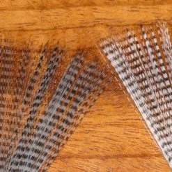 Hareline Barred Mayfly Tail