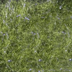 Hareline Fly Fish Food's Bruiser Blend Dubbing Materials 34 Hareline Fly Fish Food's Bruiser Blend Dubbing Materials