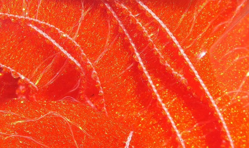 Hareline Chocklett's Body Wrap Materials 7 Hareline Chocklett's Body Wrap Materials