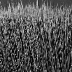 Hareline Fish Skull Faux Bucktail Materials