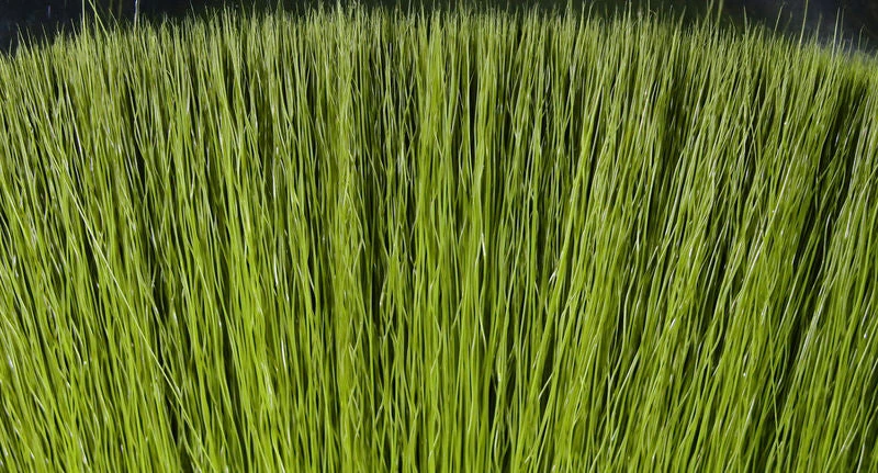 Hareline Fish Skull Faux Bucktail Materials 8 Hareline Fish Skull Faux Bucktail Materials