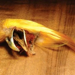 Hareline Golden Pheasant