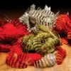 Hareline Materials Grizzly Soft Hackle 2 Hareline Materials Grizzly Soft Hackle