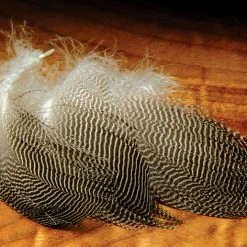 Hareline Gadwall Feathers