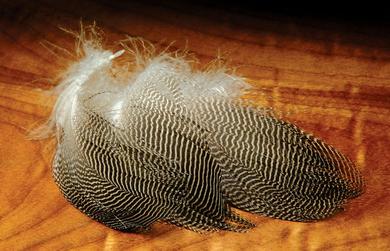 Hareline Gadwall Feathers 3 Hareline Gadwall Feathers