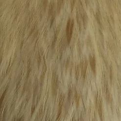 Materials Whiting American Hen Cape 94 Materials Whiting American Hen Cape