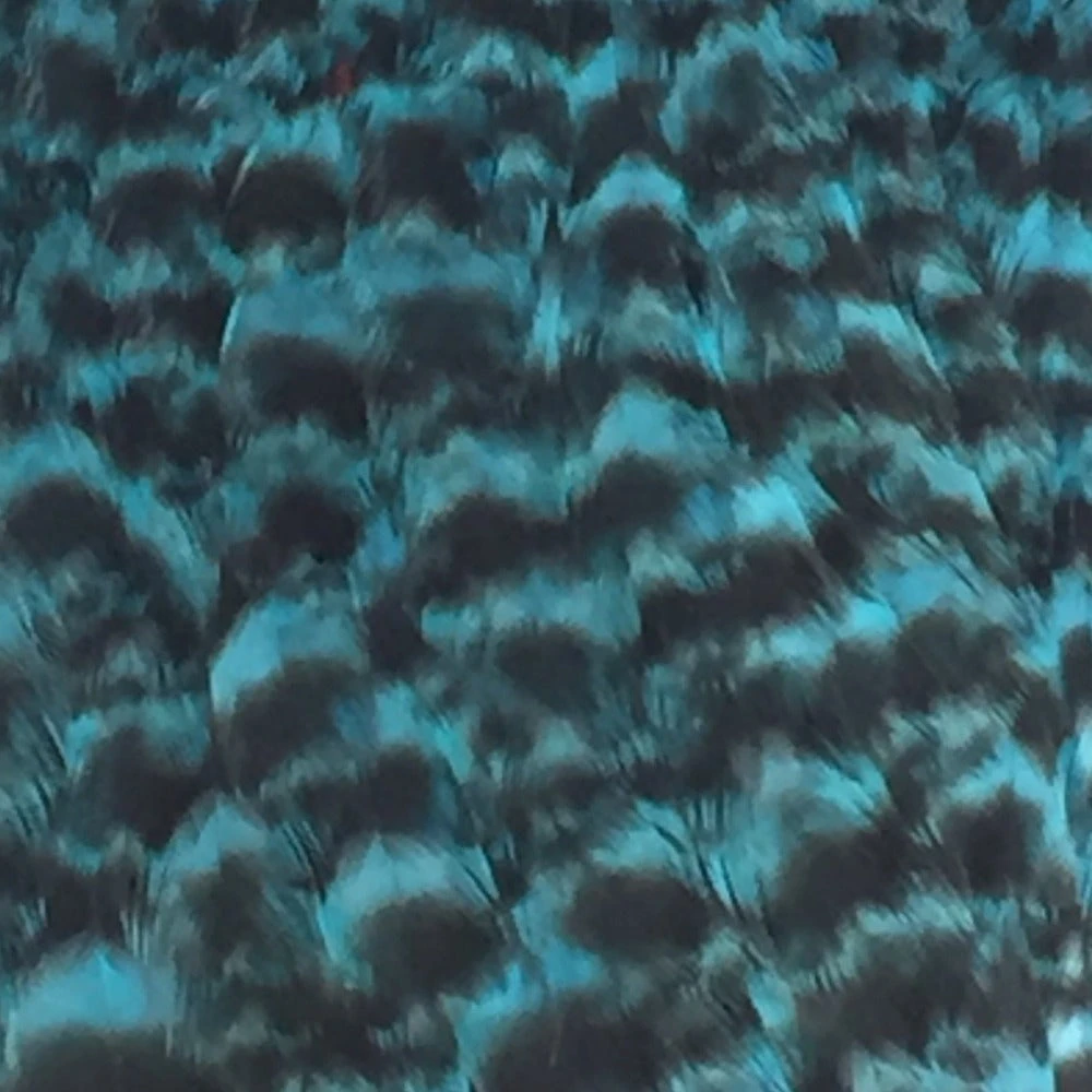 Materials Whiting American Hen Cape 49 Materials Whiting American Hen Cape