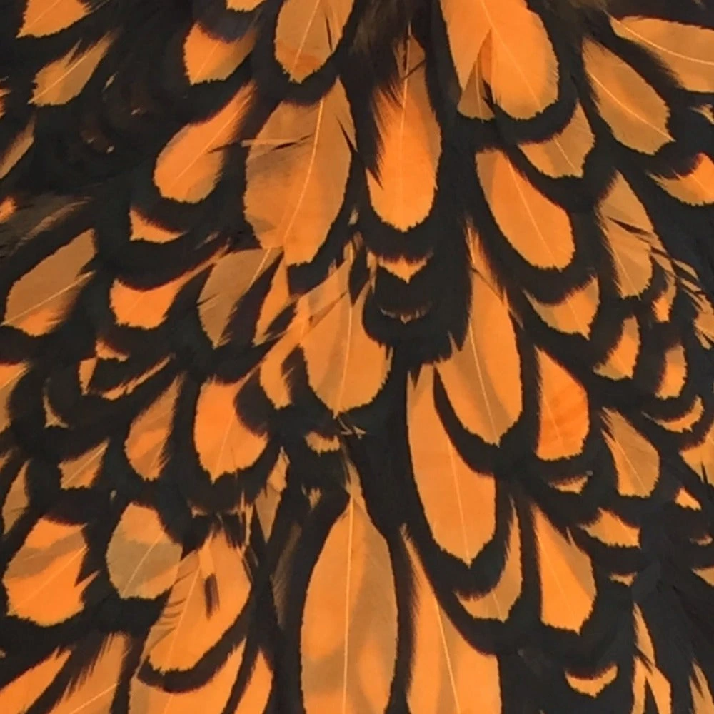 Materials Whiting American Hen Cape 62 Materials Whiting American Hen Cape