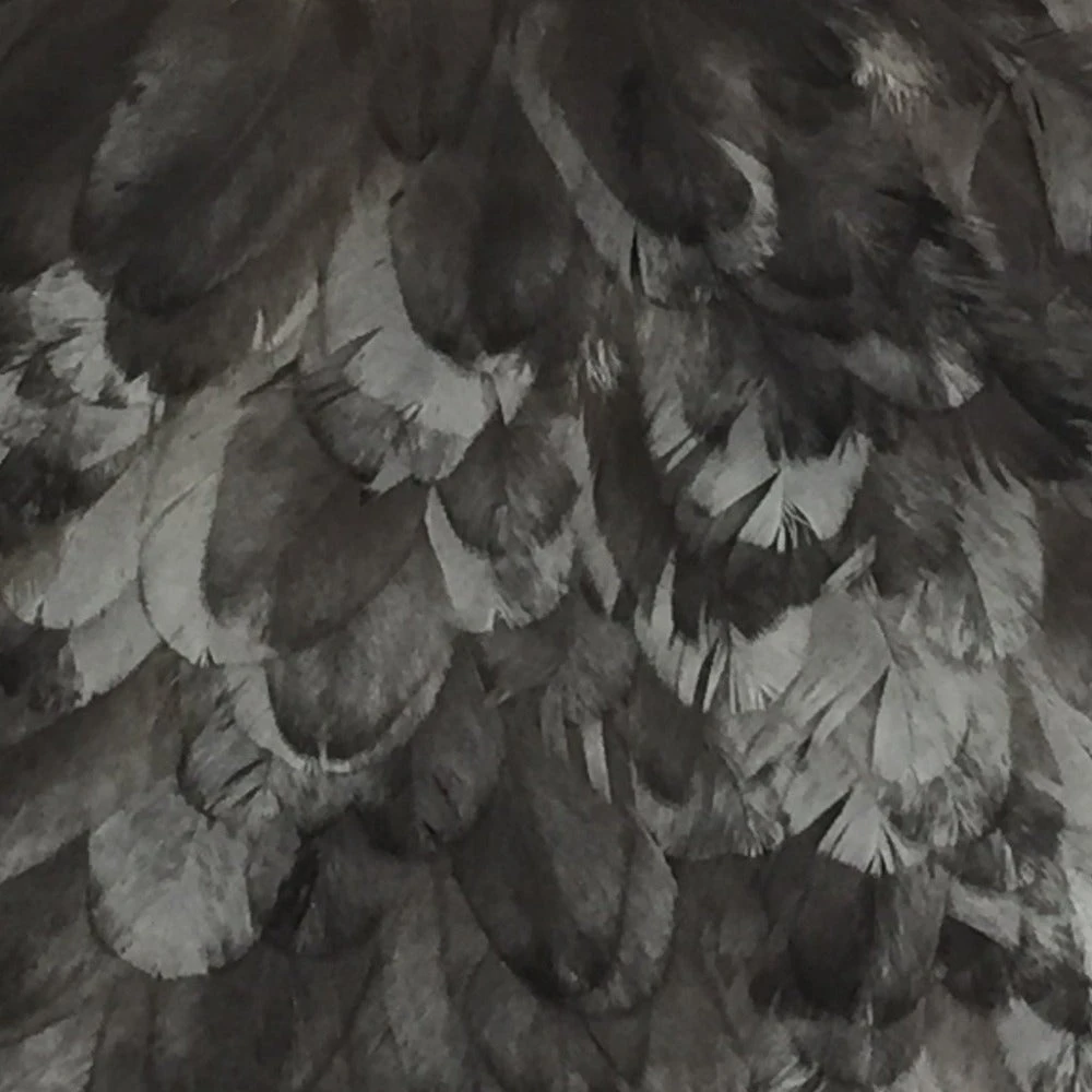 Materials Whiting American Hen Cape 57 Materials Whiting American Hen Cape