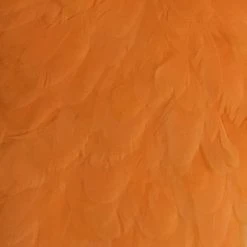 Materials Whiting American Hen Cape 126 Materials Whiting American Hen Cape