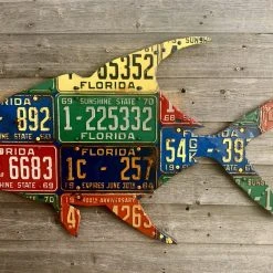 Cody Richardson Art - Florida Permit License Plate Art