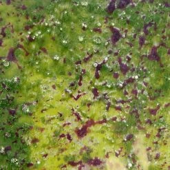 Hareline Materials Kiley's Exo Skin