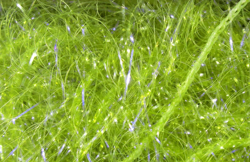 Hareline Materials UV Polar Chenille 6 Hareline Materials UV Polar Chenille