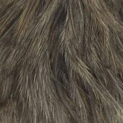 Materials Whiting American Hen Cape 119 Materials Whiting American Hen Cape