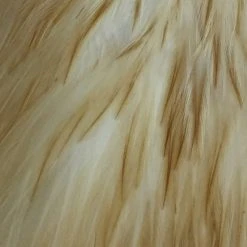 Materials Whiting American Hen Cape 116 Materials Whiting American Hen Cape