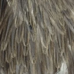 Materials Whiting American Hen Cape 115 Materials Whiting American Hen Cape