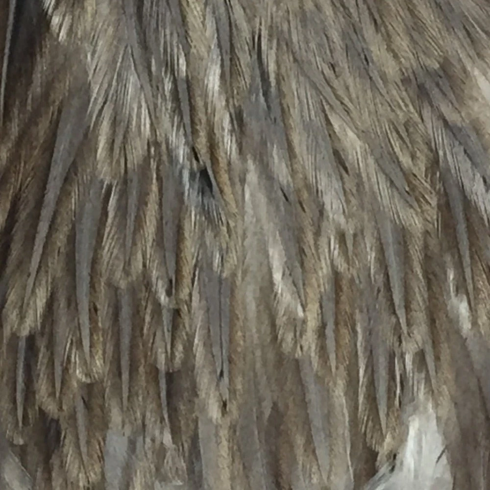 Materials Whiting American Hen Cape 52 Materials Whiting American Hen Cape