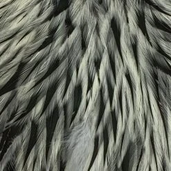 Materials Whiting American Hen Cape 117 Materials Whiting American Hen Cape