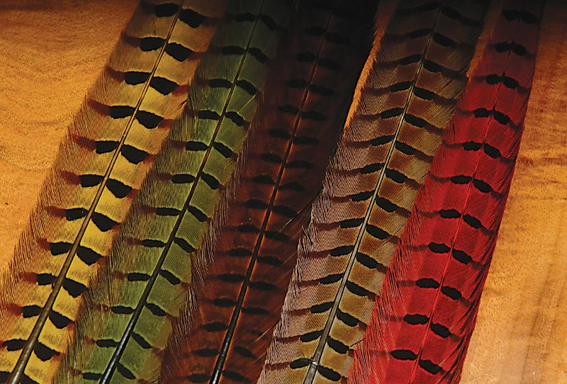 Hareline Ringneck Pheasant Tail Feathers Materials 3 Hareline Ringneck Pheasant Tail Feathers Materials