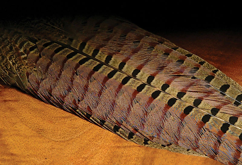 Hareline Ringneck Pheasant Tail Feathers Materials 4 Hareline Ringneck Pheasant Tail Feathers Materials