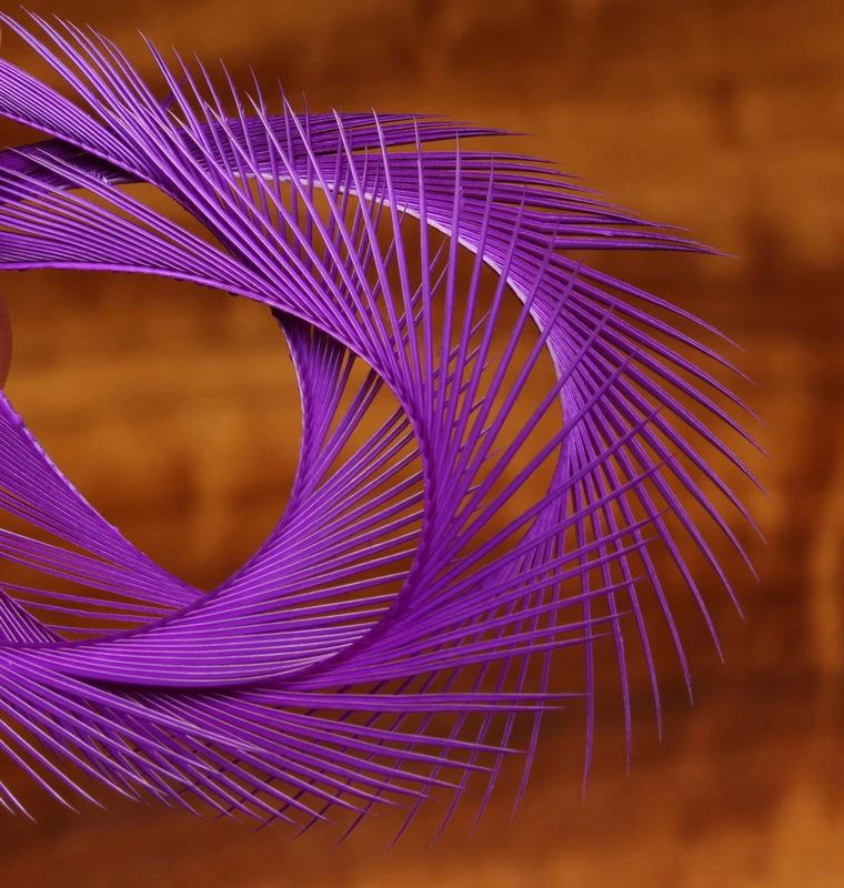 Hareline Stripped Goose Biots 5 Hareline Stripped Goose Biots