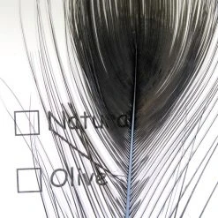 Hareline Stripped Peacock Eye Materials